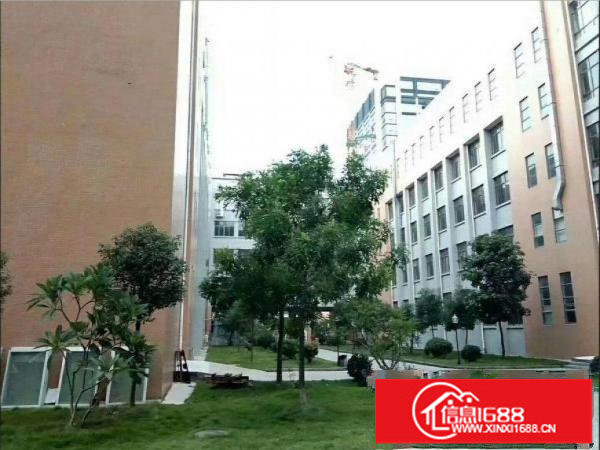 坪山三洋湖新出楼上400平方厂房有简单装修出租，带地坪漆