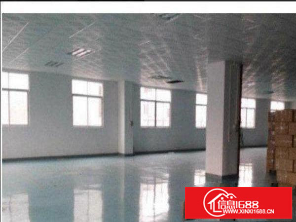 平湖新木工业区现有楼上600平米厂房出租空地大