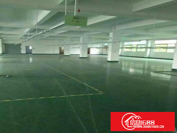 坂田利金城科技园新出3楼2300平一整层带装修出租