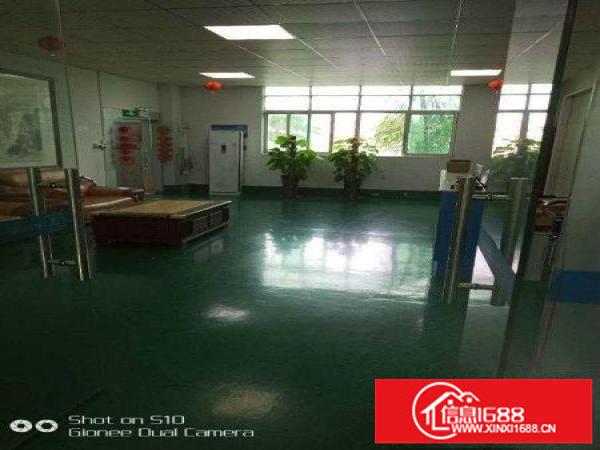 坪山新出楼上带精装修厂房1200平