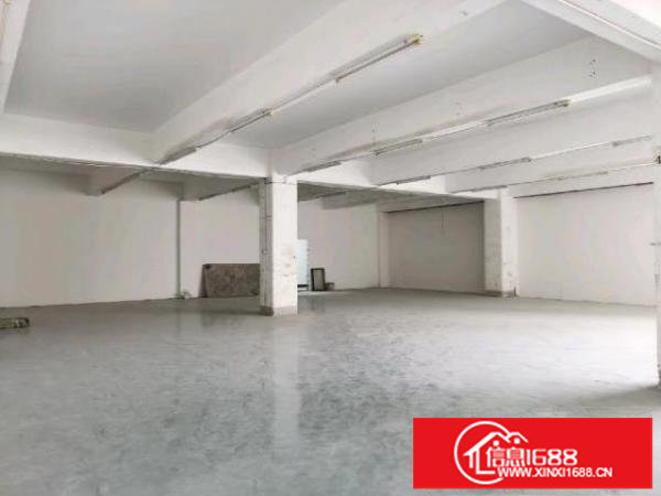 近百鸽笼D出口办公室