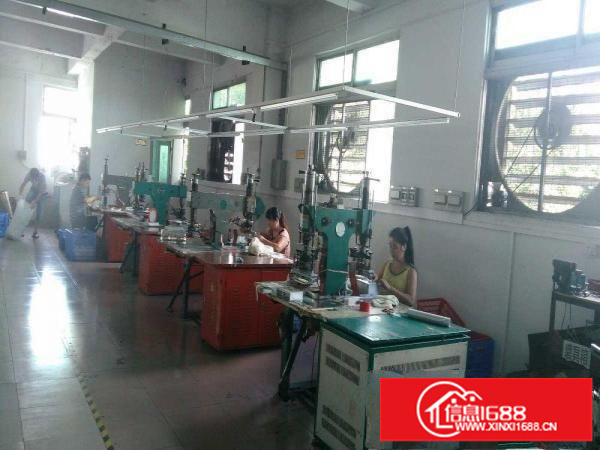 出租龙岗区横岗坳一村阿宝工业园B栋厂房