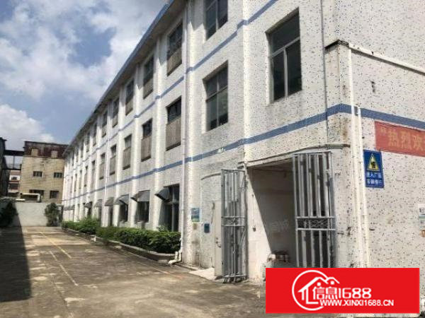 500平可分租坑梓原房东独院3000平有红本有环评