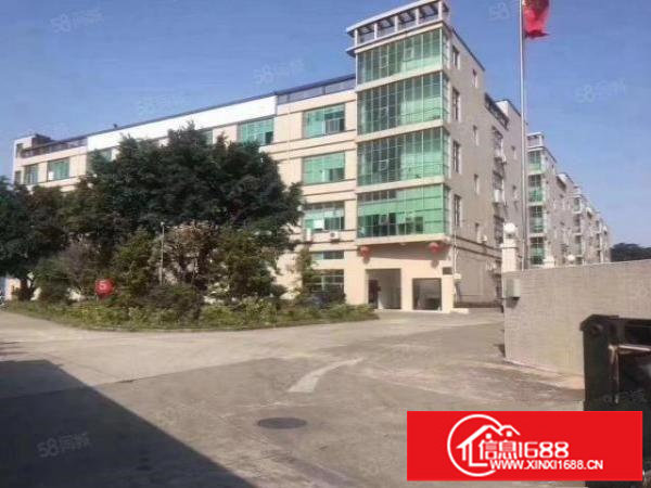 观澜观光路边上新出独栋7800平方厂房出租