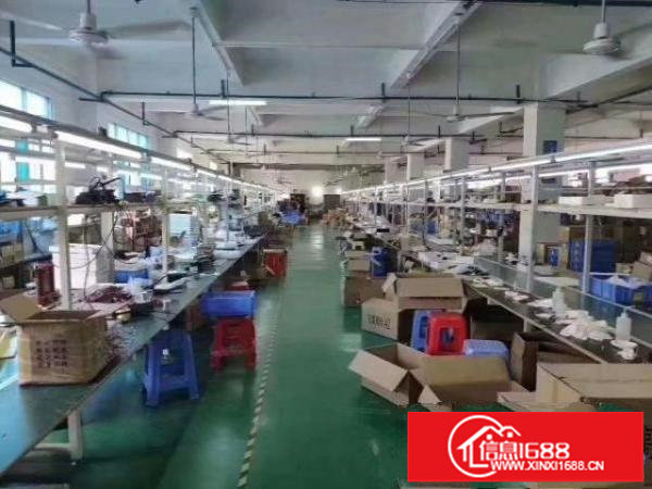 松岗燕川红本独院厂房5000平米带精装修出租高6米可分租