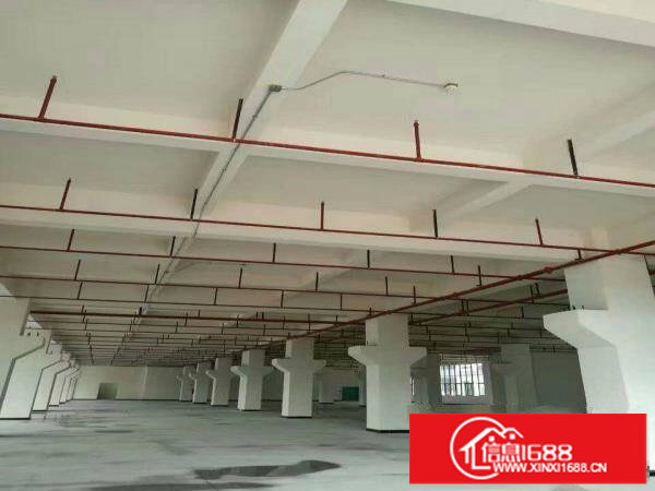 龙岗一楼一楼标准厂房铁皮房仓库招租