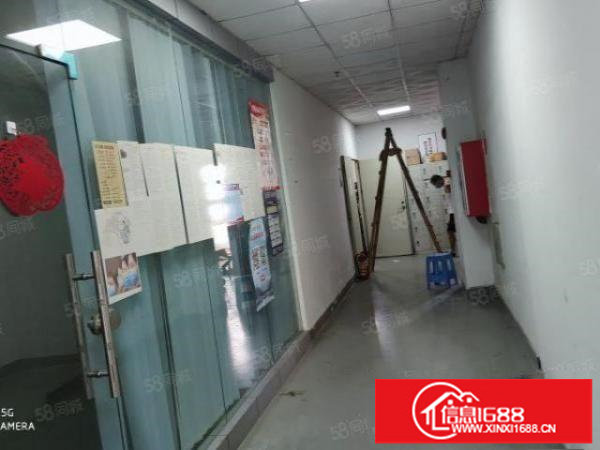 出租光明将石楼上1250平,精装修可办环评,采光好,面积实在