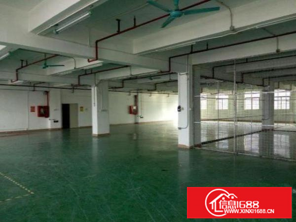 丹灶上安村新出1楼1000平厂房，双面采光