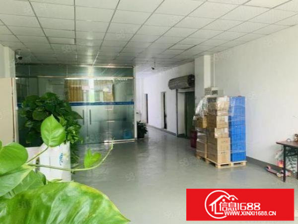 观澜松元新出楼上720平，精装修厂房，无转让费。