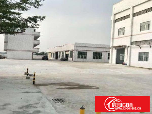 南联独门独院单一层钢结构2500厂房出租