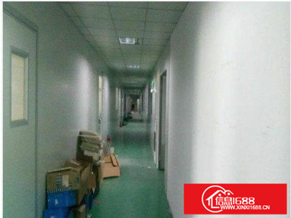常平朗洲厂房1500平米可分租铺好地坪漆