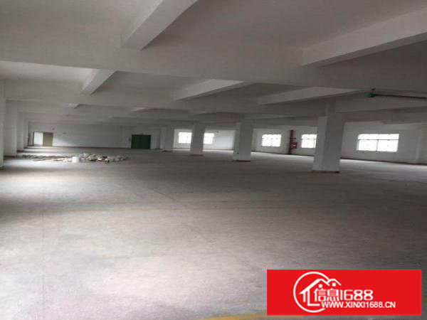 坪山坑梓新出厂房