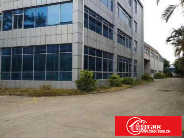 横岗大马路物流重工业厂房12米高20000平方出租