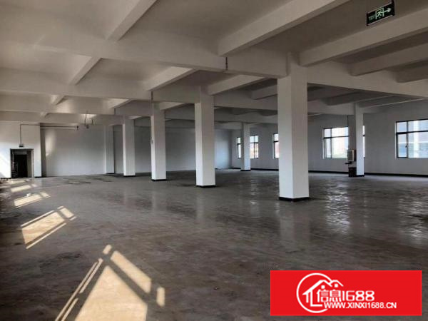 9000平方独院标准电梯厂房招租，电600KVA