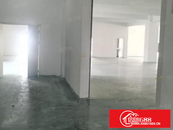 杏坛智能科技产业园带地坪漆800方，方正好用，高大尚