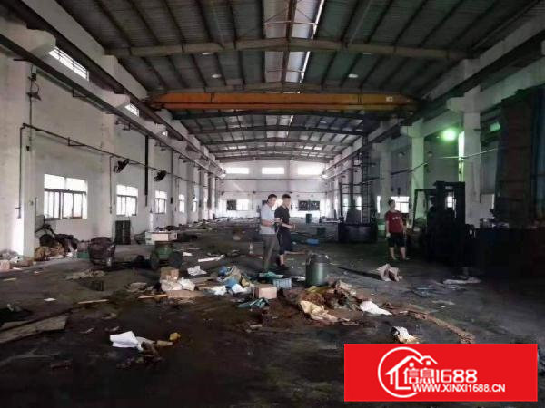 大朗洋坑塘工业区独院单一层1600平8米高钢构出租，水电齐全