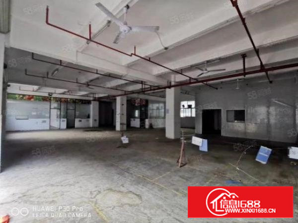 物业直租沙井107国道新出一楼600平米带装修厂房图片实拍