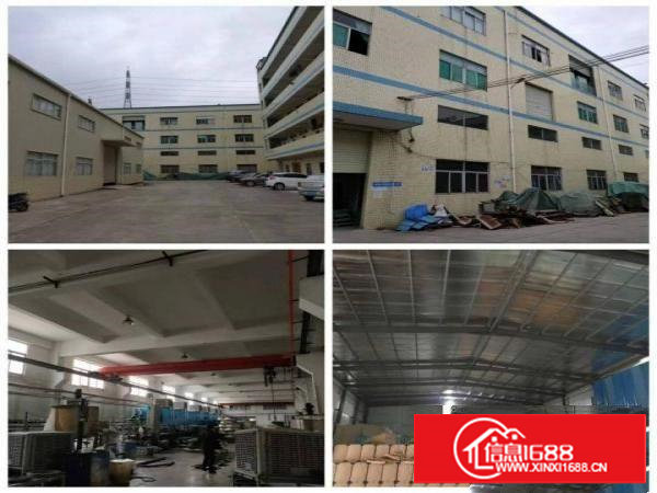谢岗独院厂房7600平方带行车首高7米