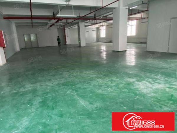 黄江高速口旁红本园区楼上600至1600装修办公室，图片实拍