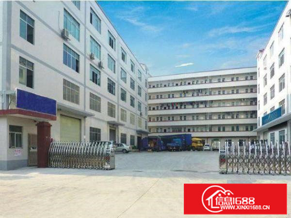 东坑标准厂房楼上800平形象好招租