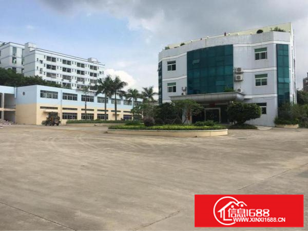 新墟3650平标准厂房，带精装修，可分租