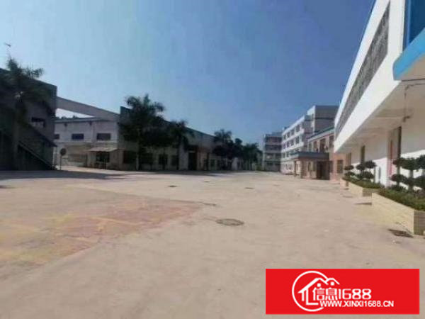 观澜红本一手房东独门独院厂房出租