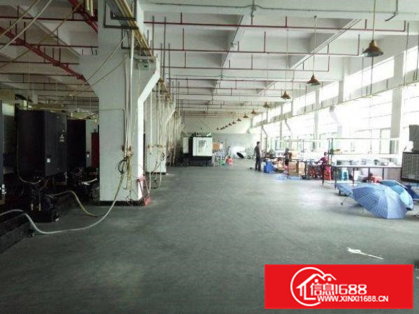 清溪谢坑工业区新出6米高一楼1100平方厂房出租