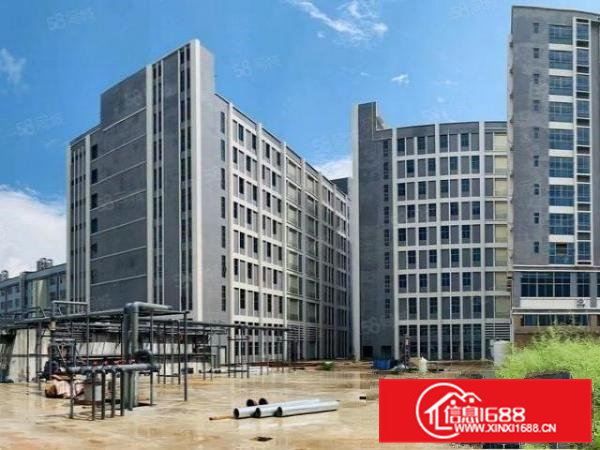 大朗镇新马连氧化盘对外房租