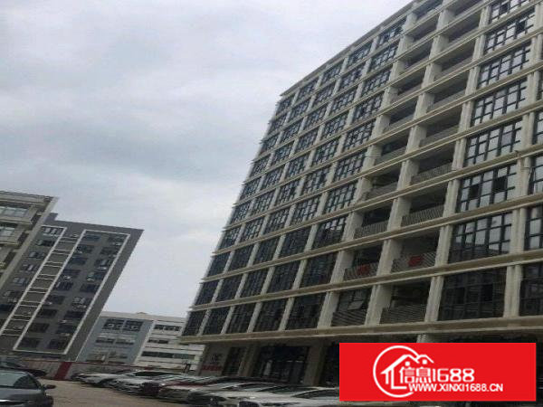 龙岗双环新一代信息技术产业园厂房220平米