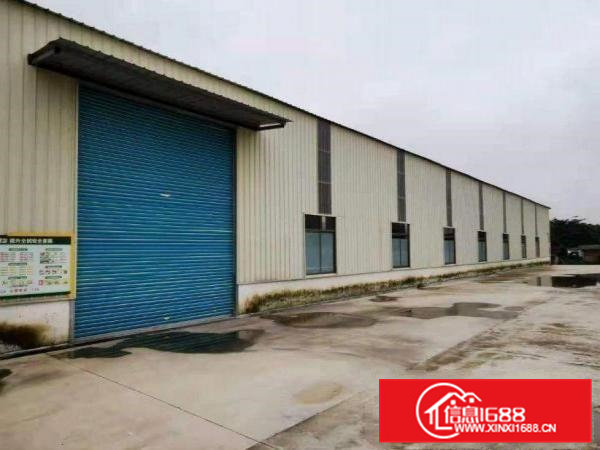 浮岗独院钢构400平厂房出租，有空地，可分租