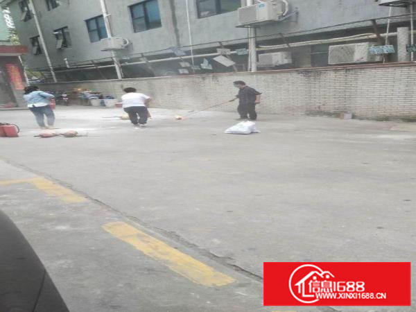 合租办公场地，面积150平左右