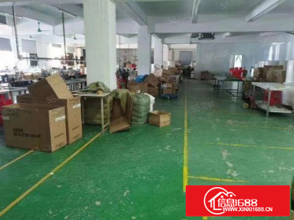 12块打包价，清溪镇大利新出精装修楼上1200平厂房出租