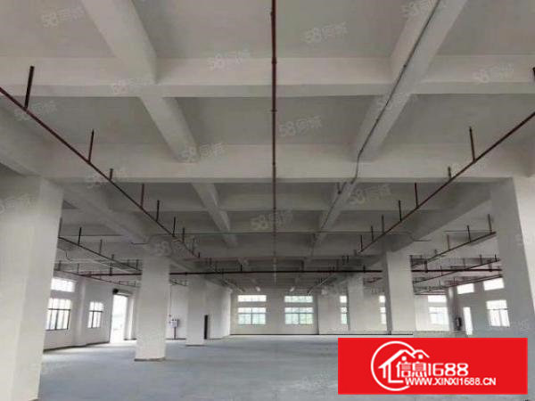 南栅本地人全新厂房正式招租，出租面积按需，形象好