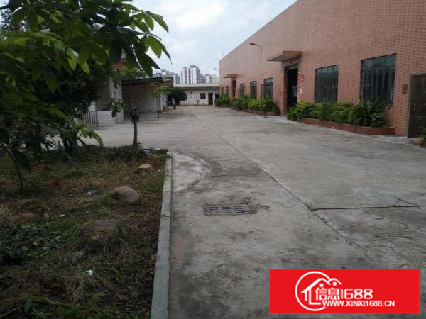 惠阳新墟独门独院单一层1200平砖墙到顶厂房可分可整