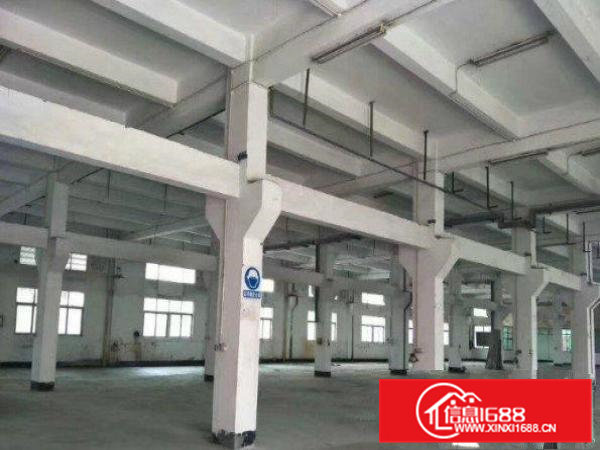 常平漱新工业区2000平一楼厂房消防到位