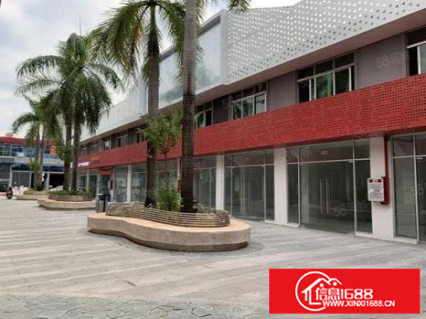 常平天鹅湖1323厂房业主直租可环评