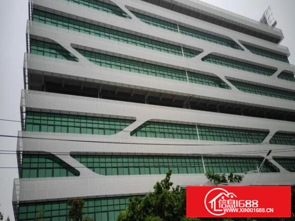 全新工业园区大小可分租