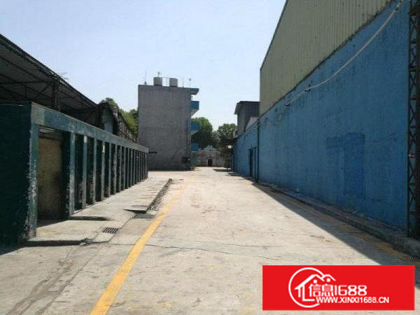 观澜环观南路高新技术产业园大型独院厂房出租