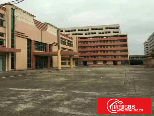 常平木伦标准厂房一楼1200平带装修好办公室可分租