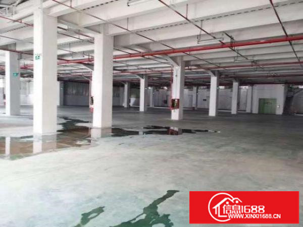 大量横岗仓储物流园出租1000-50000㎡