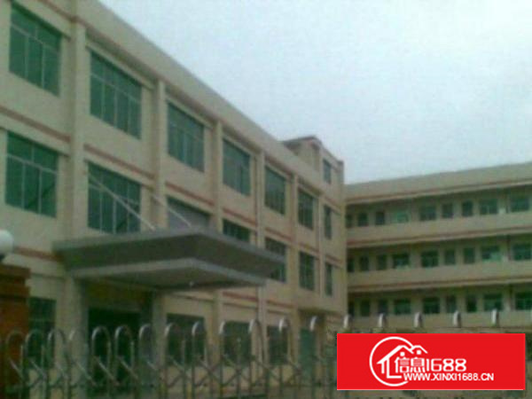 高埗带现成装修标准一楼500或1000平方招租现成水电，宿舍