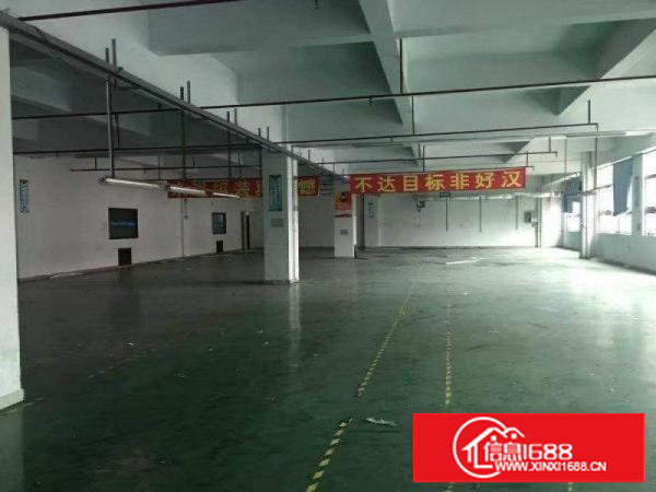 塘厦大坪高速路出口旁科苑城标准二楼750平出租