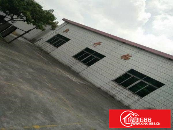 高埗镇新出独门独院标准厂房6000平电按需