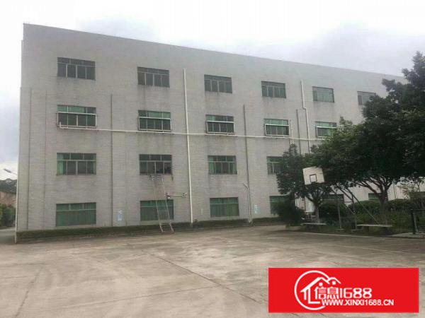 独门独院花园式厂房出租10000平米出租有证件