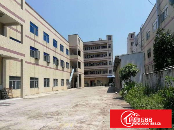 东莞东坑独院原房东标准厂房3900平方出租