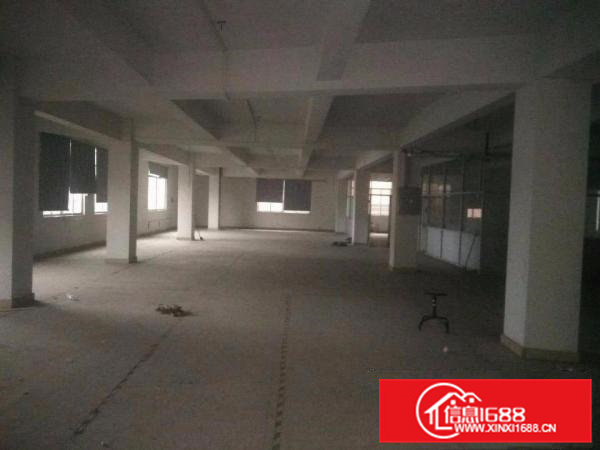 厂房出租（可以分租）-横沥