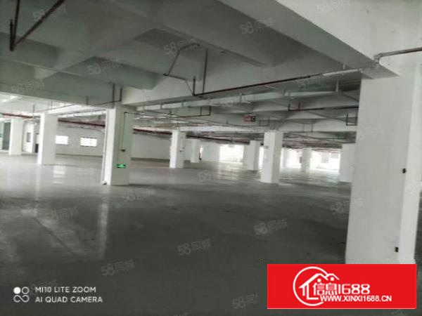 带地坪漆形象非常好茶山镇原房东独院标准厂房1500平方出