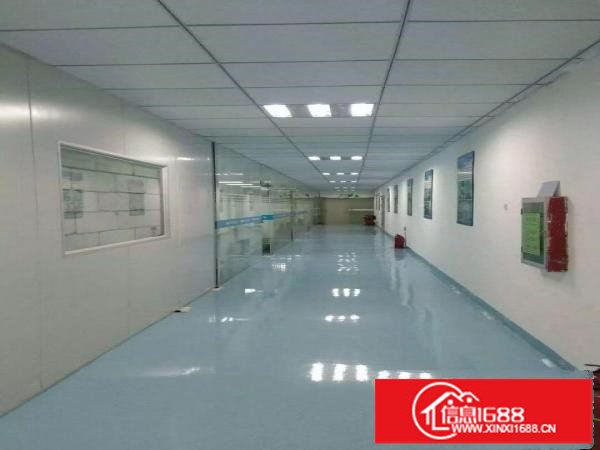 观兰大型工业园3楼850平米精装修厂房出租