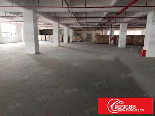 凤岗高新产业园新出楼上6000平招租