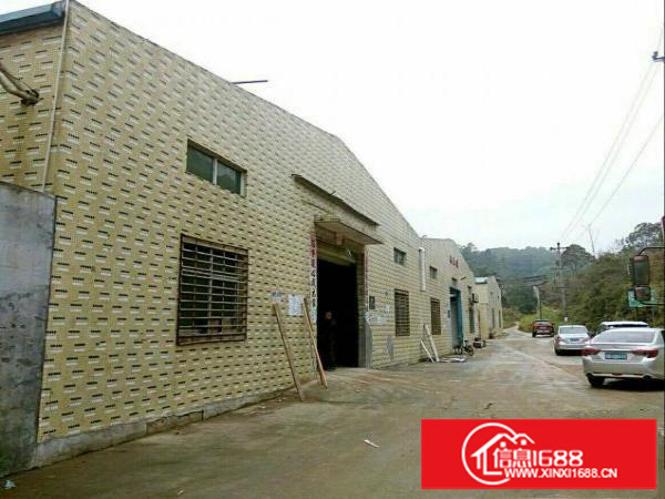 龙岗坪地16元一楼厂房出租